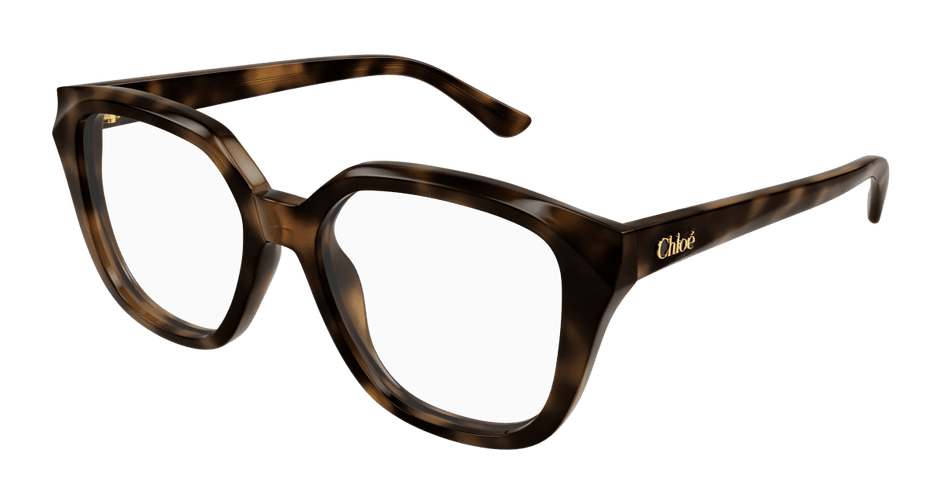 Chloé CH0293O Havana 889652543789