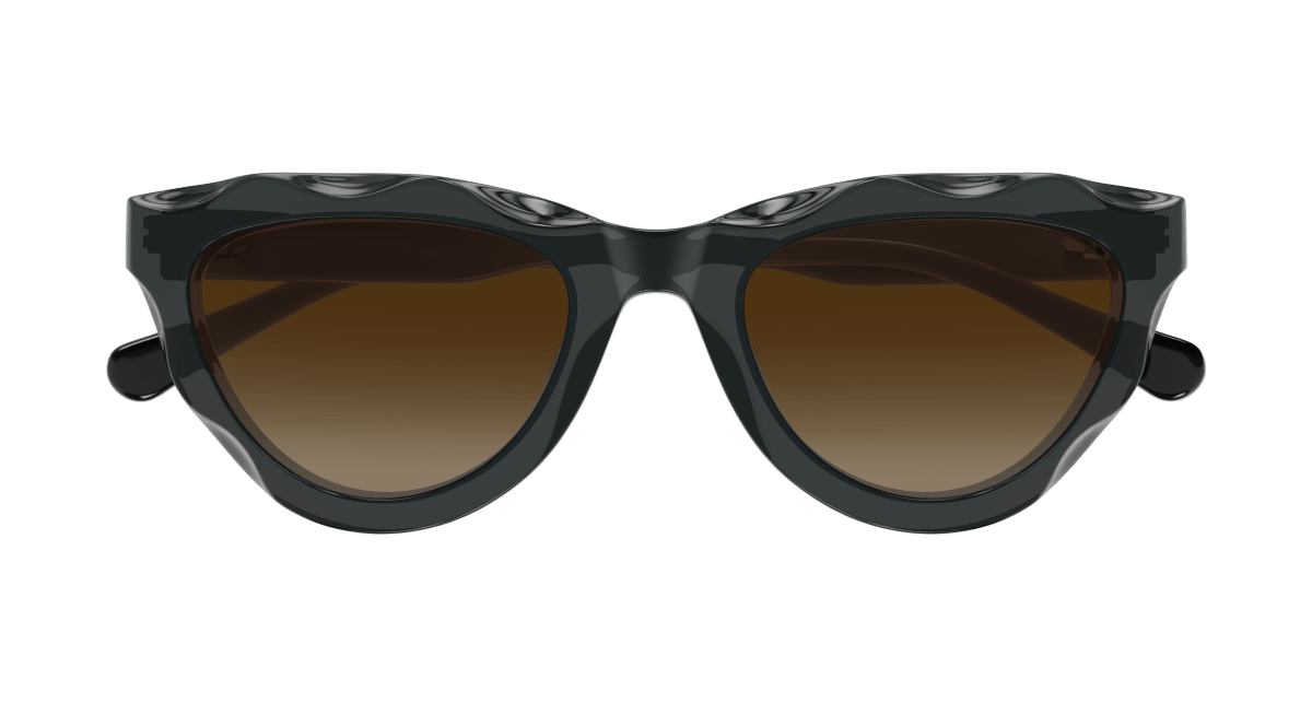 Chloé CH0294S Grey/Brown 889652543864