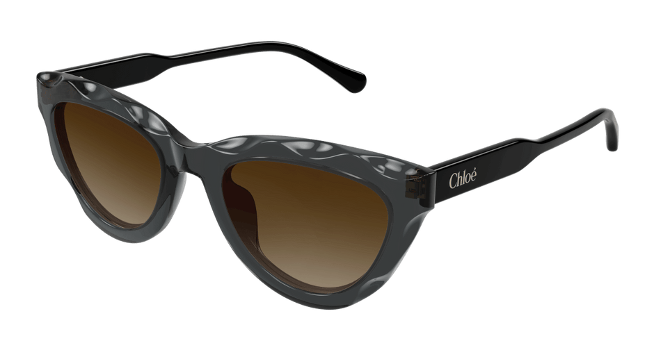 Chloé CH0294S Grey/Brown 889652543864