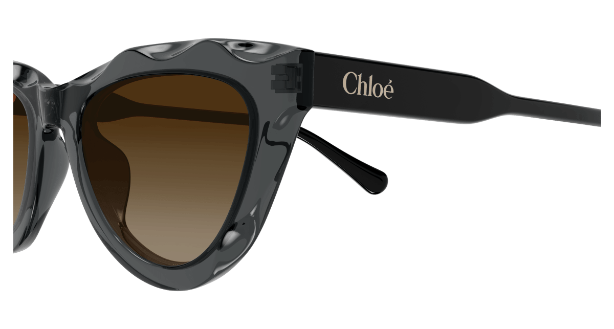 Chloé CH0294S Grey/Brown 889652543864