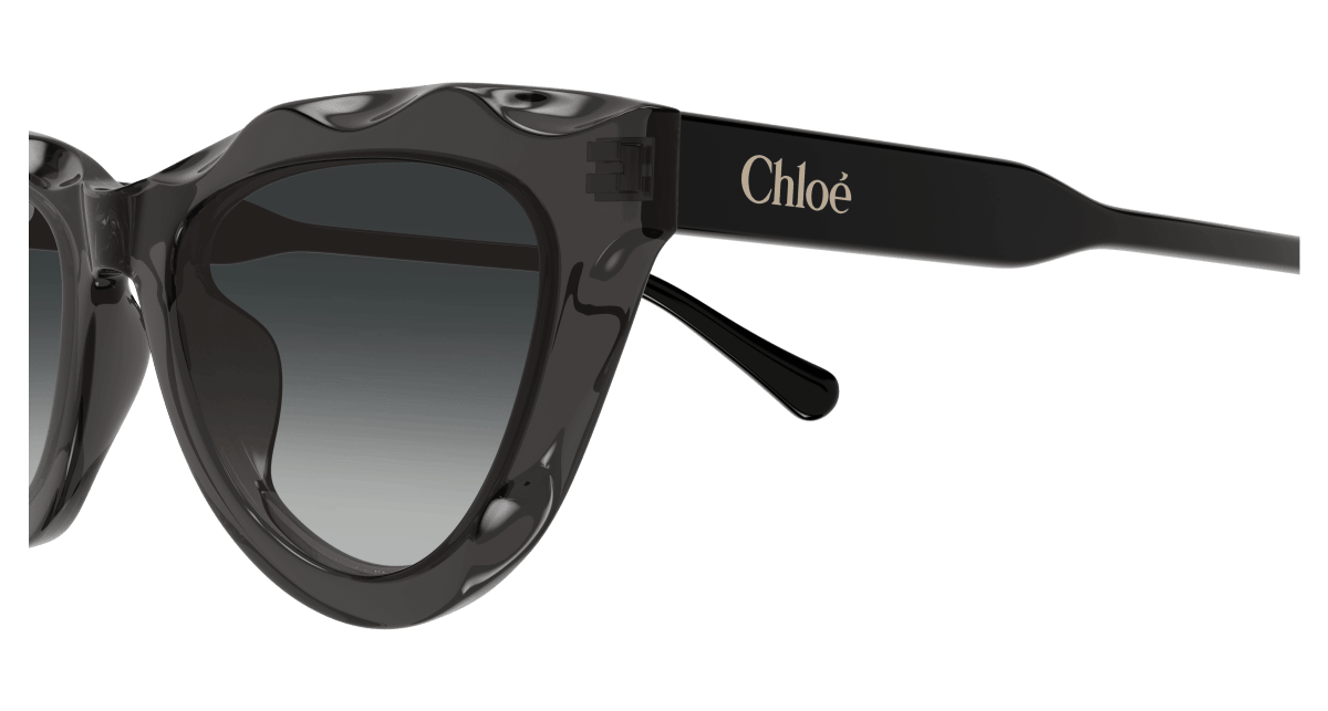 Chloé CH0294S Grey 889652543826