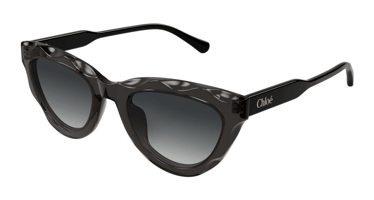 Chloé CH0294S Grey 889652543826