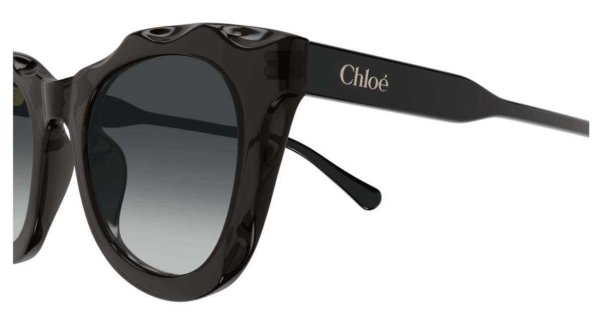 Chloé CH0295S Grey 889652543871