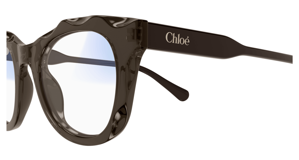 Chloé CH0296S Sunglasses 889652543963