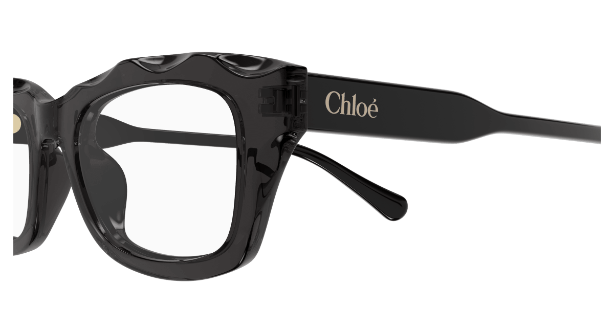Chloé CH0297O Grey 889652544014