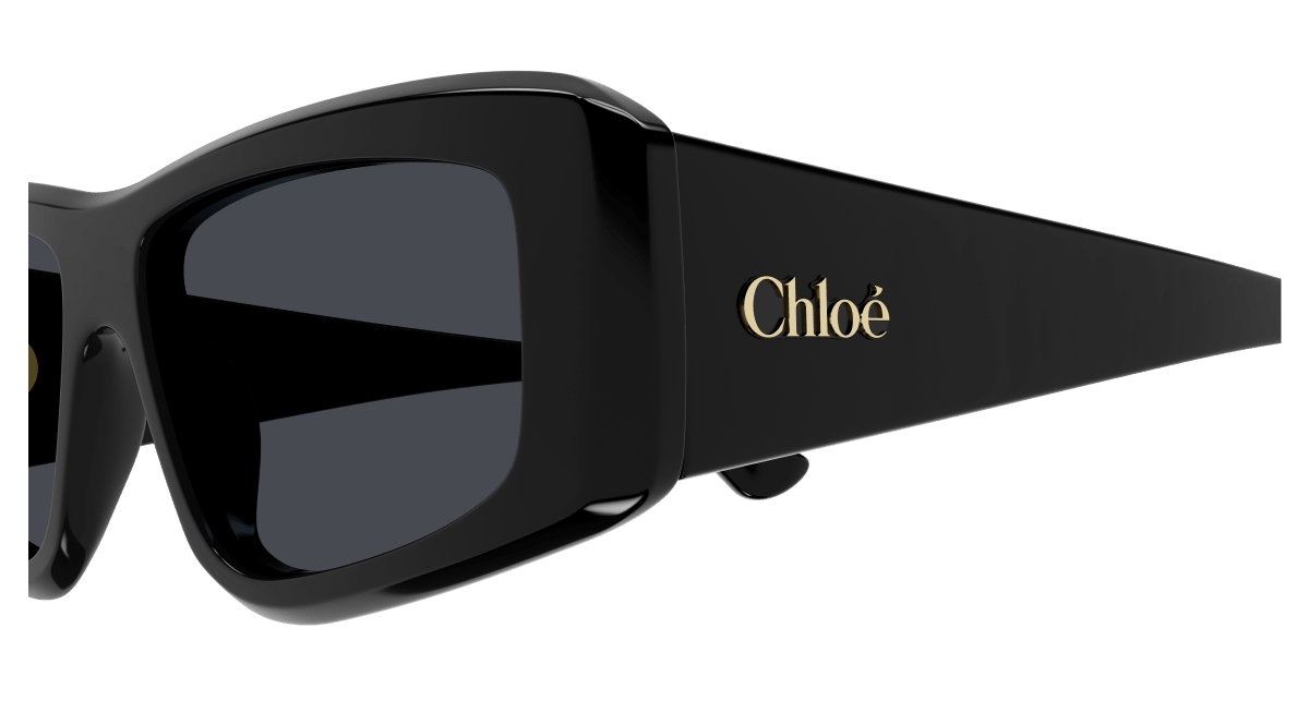 Chloé CH0299S Black/Blue 889652544052