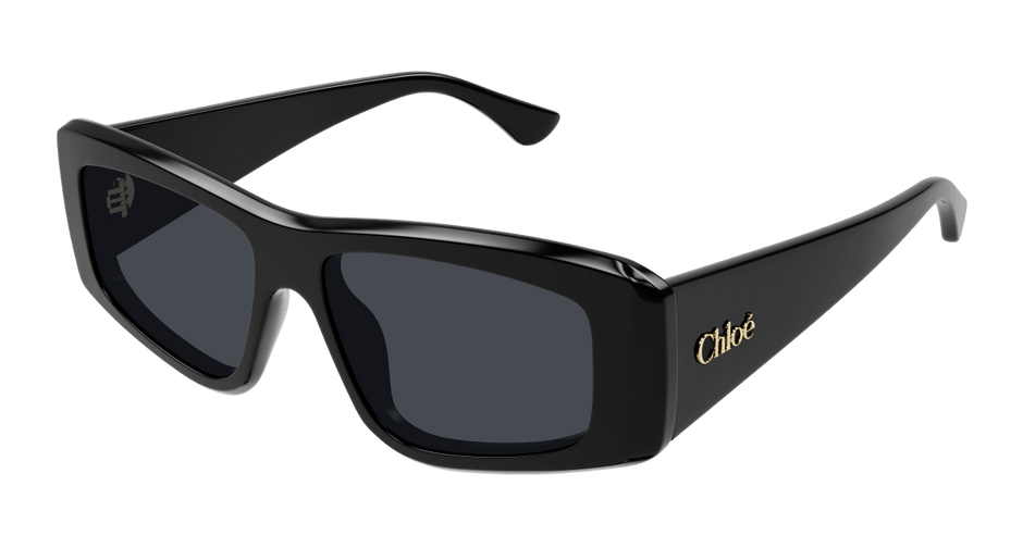 Chloé CH0299S Black/Blue 889652544052