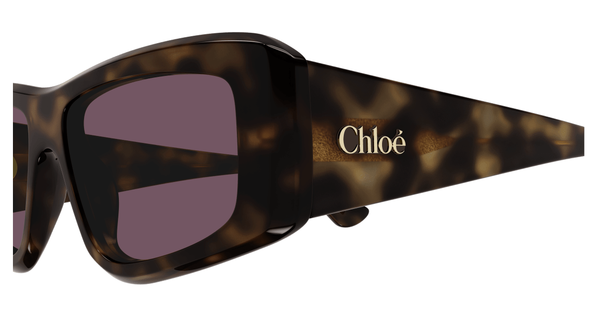 Chloé CH0299S Havana/Violet 889652544069