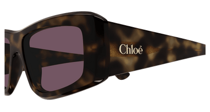 Chloé CH0299S Havana/Violet 889652544069