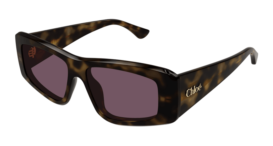 Chloé CH0299S Havana/Violet 889652544069