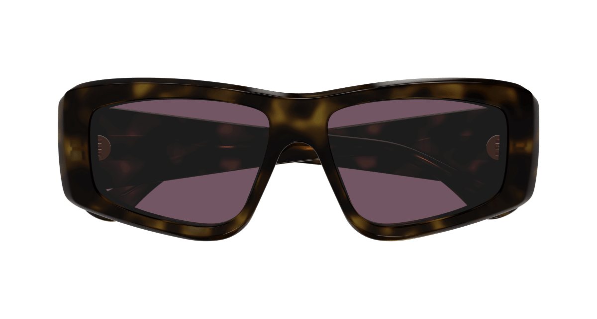 Chloé CH0299S Havana/Violet 889652544069
