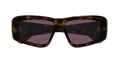 Chloé CH0299S Havana/Violet 889652544069