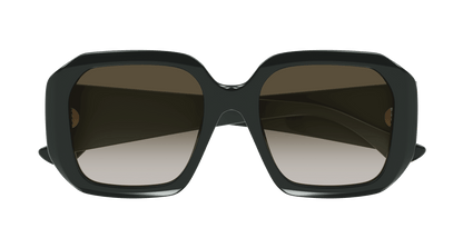 Chloe CH0300S Sunglasses 889652544113