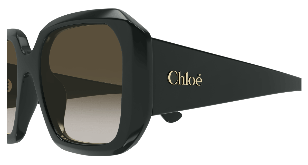Chloé CH0300S Green 889652544113