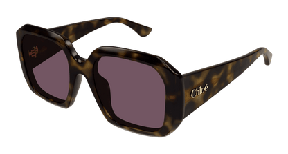 Chloé CH0300S Havana/Violet 889652544106