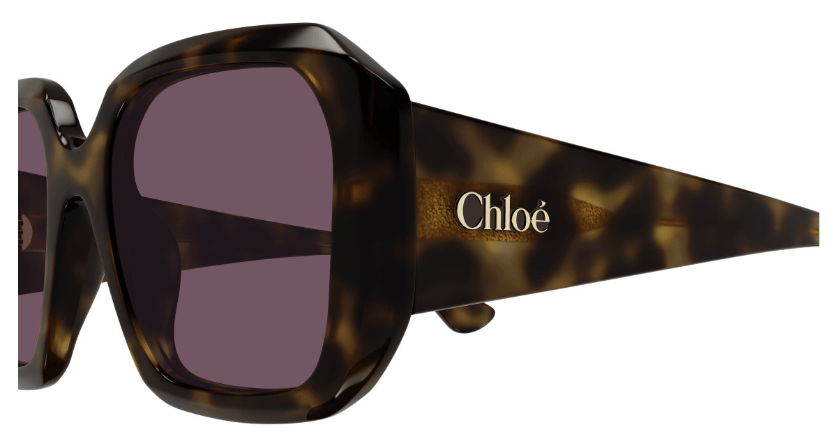 Chloé CH0300S Havana/Violet 889652544106