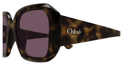 Chloé CH0300S Havana/Violet 889652544106