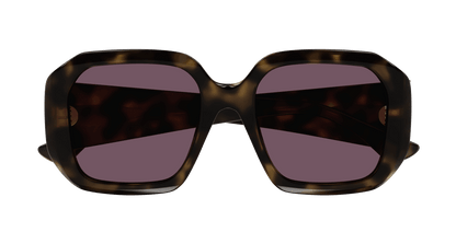 Chloé CH0300S Havana/Violet 889652544106