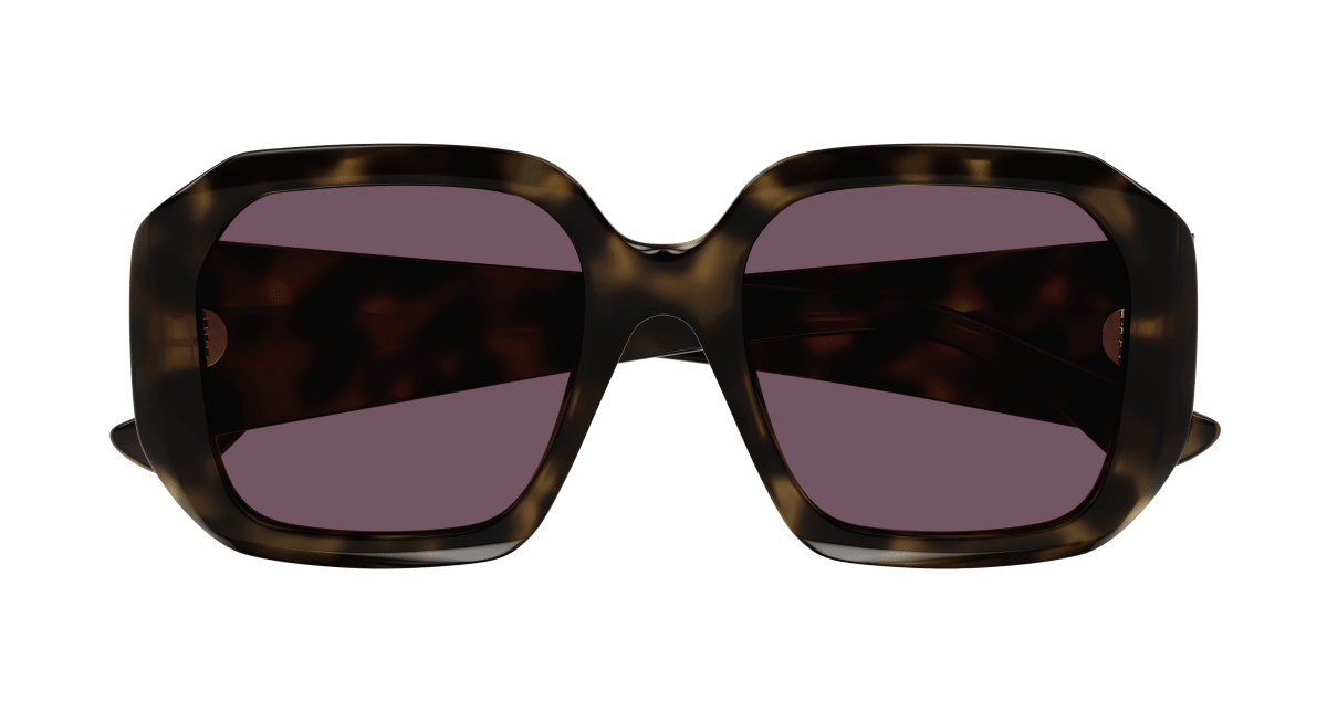 Chloé CH0300S Havana/Violet 889652544106