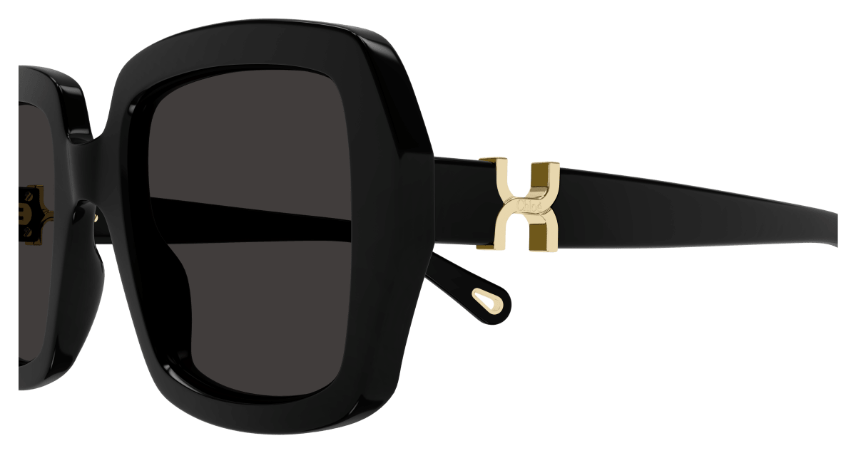 Chloé CH0301S Black/Grey 889652544137