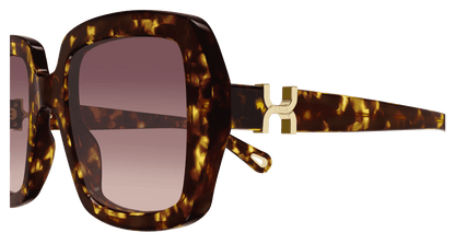 Chloé CH0301S Havana/Red 889652544144