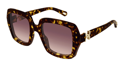 Chloé CH0301S Havana/Red 889652544144