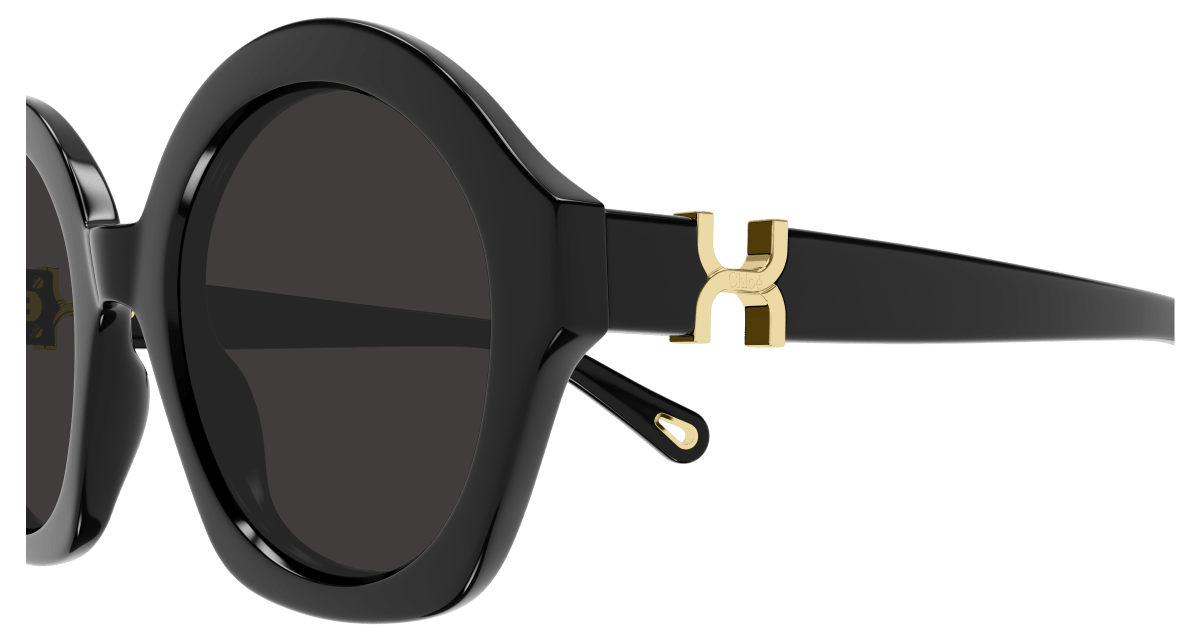 Chloé CH0302S Black/Grey 889652544182