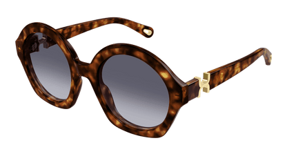 Chloé CH0302S Havana/Violet 889652544199