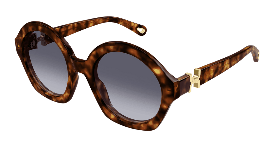 Chloé CH0302S Havana/Violet 889652544199