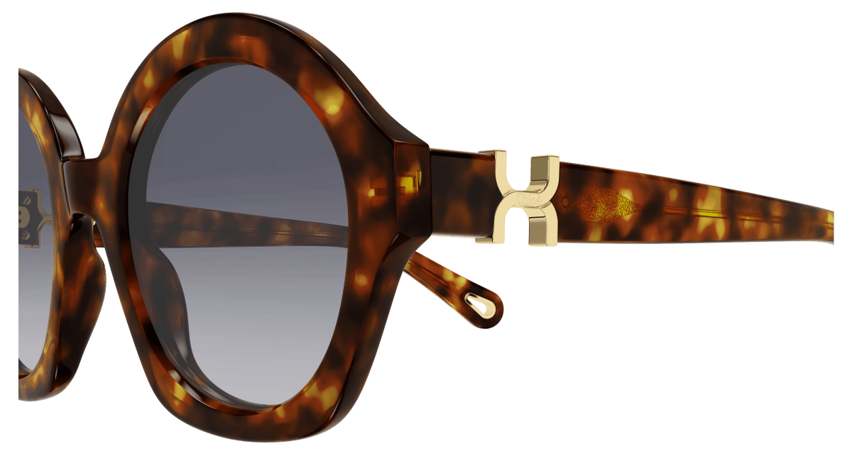 Chloé CH0302S Havana/Violet 889652544199