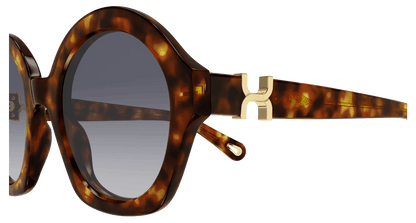 Chloé CH0302S Havana/Violet 889652544199
