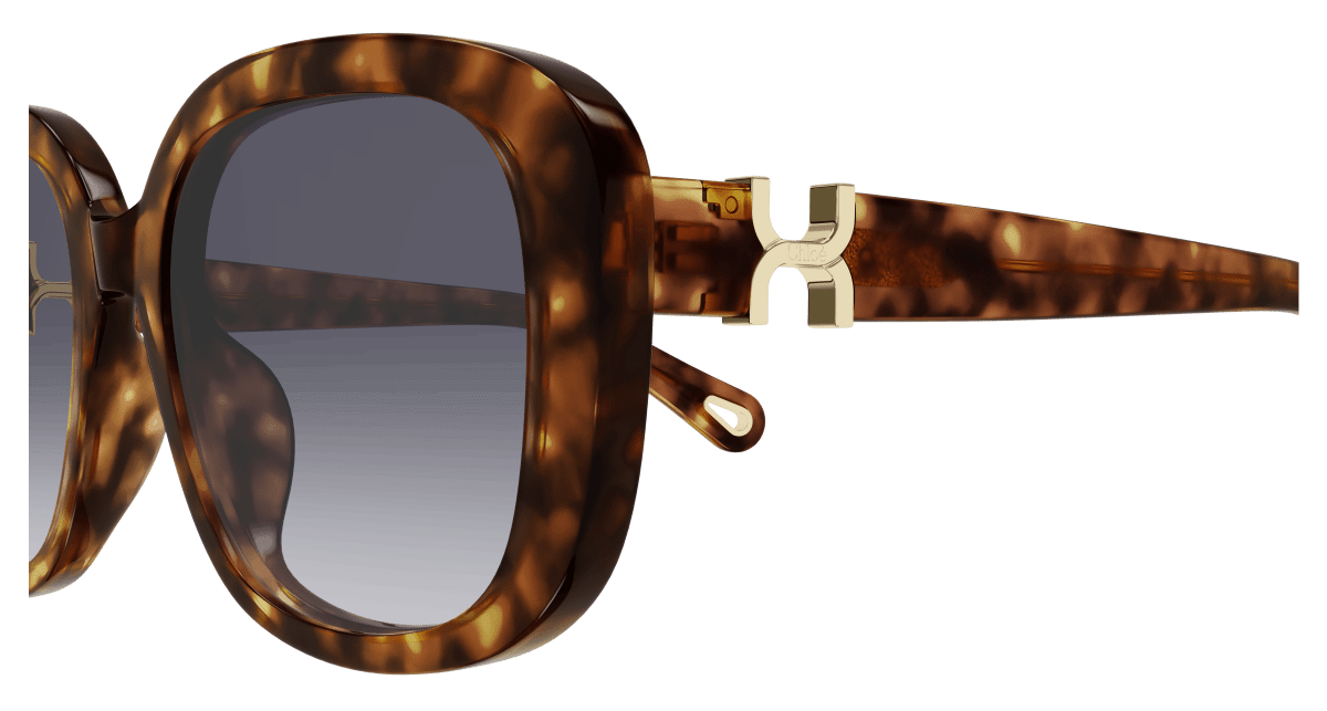 Chloé CH0303SK Havana/Violet 889652544243