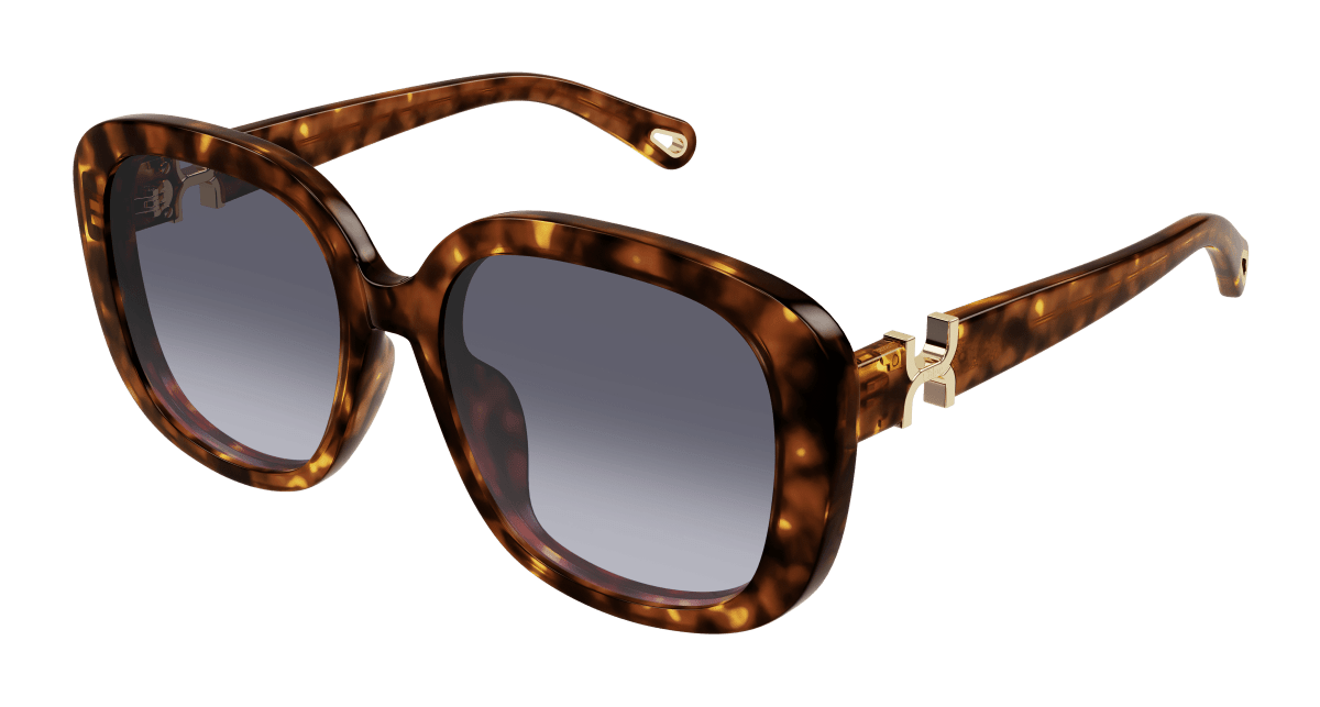 Chloé CH0303SK Havana/Violet 889652544243