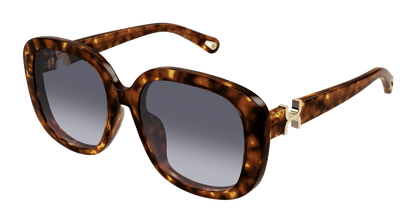 Chloé CH0303SK Havana/Violet 889652544243