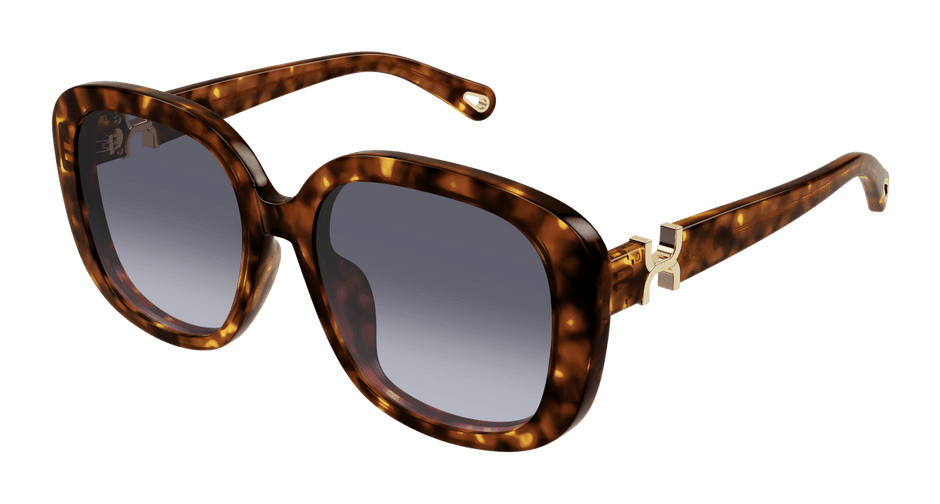 Chloé CH0303SK Havana/Violet 889652544243