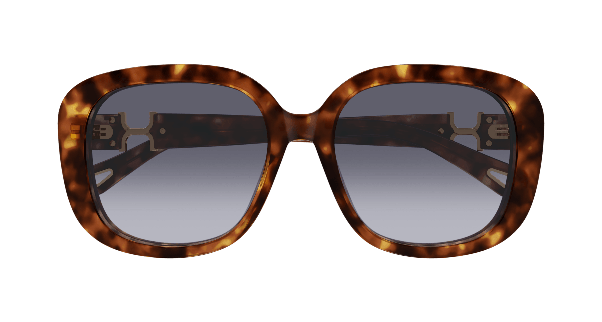 Chloé CH0303SK Havana/Violet 889652544243