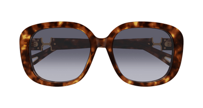 Chloé CH0303SK Havana/Violet 889652544243