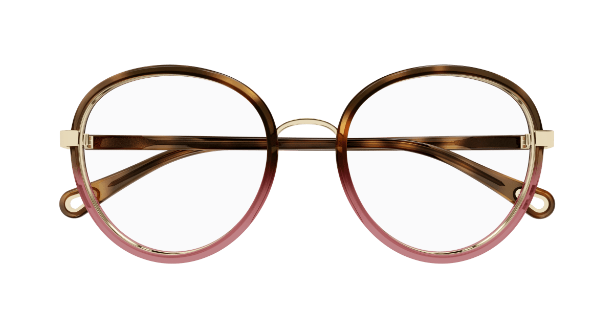 Chloé CH0308O Havana, 53mm 889652544472