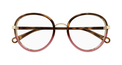 Chloé CH0308O Havana, 53mm 889652544472