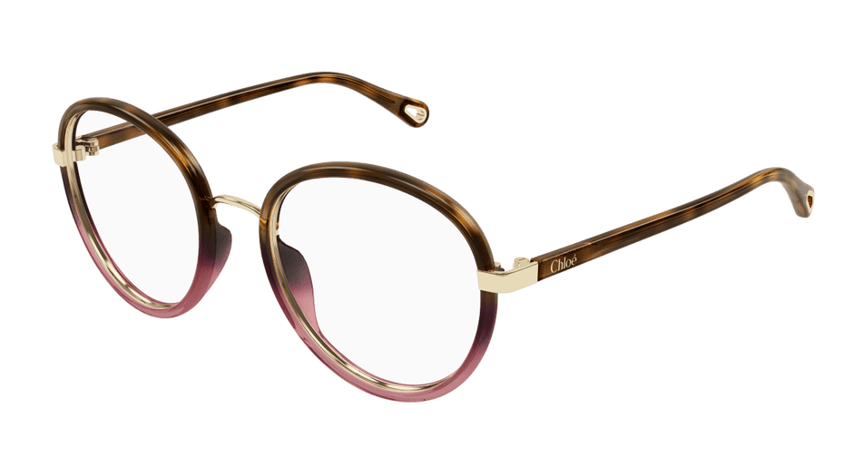 Chloé CH0308O Havana, 53mm 889652544472