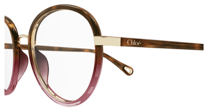 Chloé CH0308O Havana, 53mm 889652544472