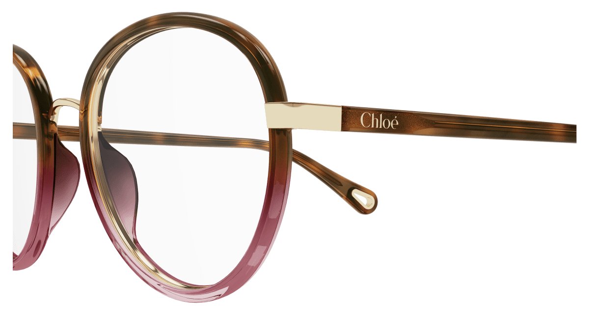 Chloé CH0308O Havana, 53mm 889652544472