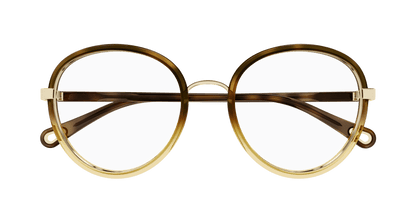 Chloé CH0308O Havana, 53mm 889652544489