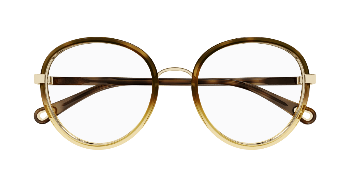 Chloé CH0308O Havana, 53mm 889652544489
