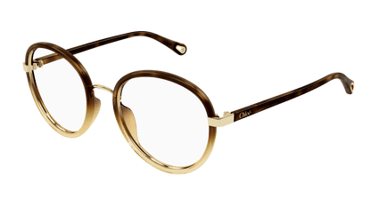 Chloé CH0308O Havana, 53mm 889652544489