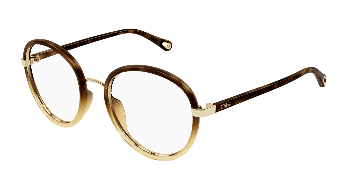 Chloé CH0308O Havana, 53mm 889652544489