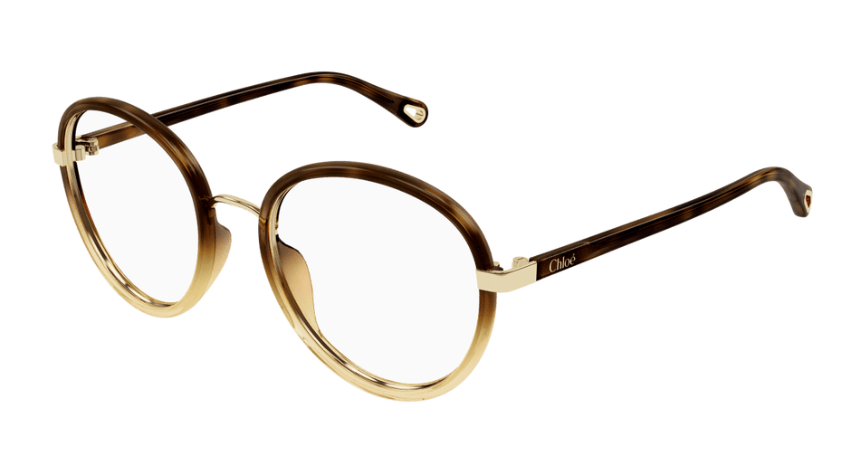 Chloé CH0308O Havana, 53mm 889652544489