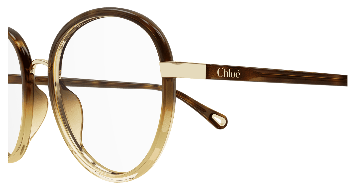 Chloé CH0308O Havana, 53mm 889652544489