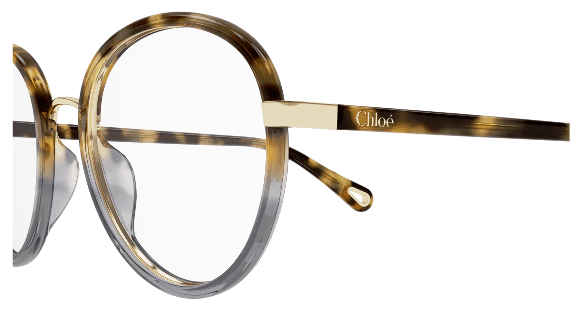 Chloé CH0308O Havana, 53mm 889652544496