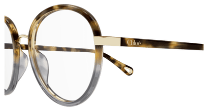 Chloé CH0308O Havana, 53mm 889652544496